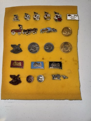 South dakota jaycee pins - jaycee,