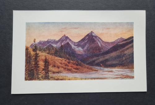 Antique 1907 print van - print, horne