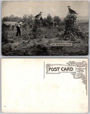 Exaggerated Giant Quail In Cornfield Postcard
