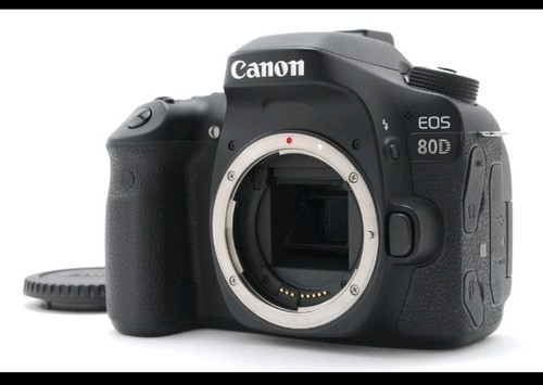 Canon 80d dslr - canon,