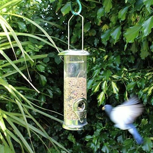 Hanging bird seed - hanging, feeder