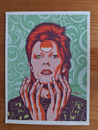 David bowie silkscreen - bowie,