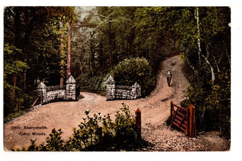 Aberystwyth cwm woods - aberystwyth,