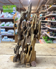 Dragon Wood Natural Aquarium Bogwood  Vivarium Aquascape Small/Med Driftwood