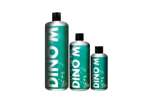 Fauna marin dino - fauna,