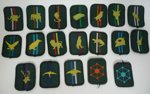 Scout patrol badges 1981 - badges,