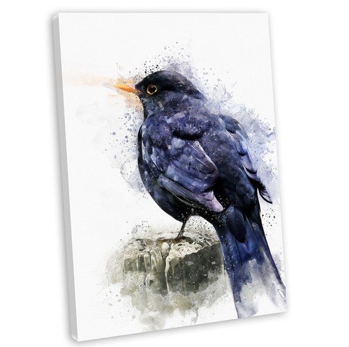 Blackbird watercolour style - blackbird,