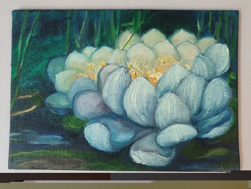 Lily oil painting canvas - lily,,