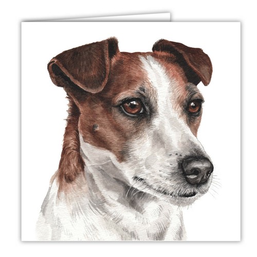 Jack russell terrier greetings - russell,