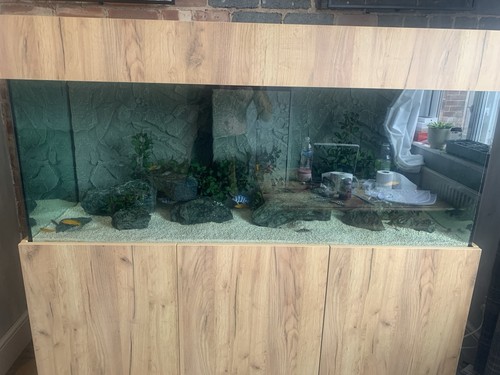 5ft marine tropical - or,