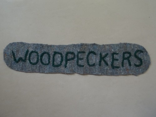 Woodpeckers patrol on scout - "woodpeckers",