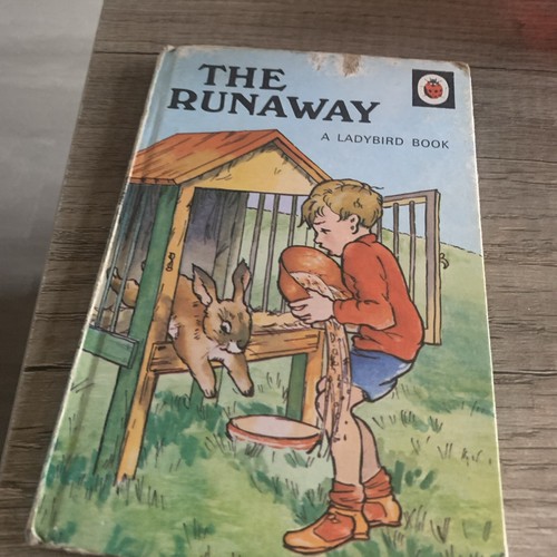 Ladybird book series 401 the - book,