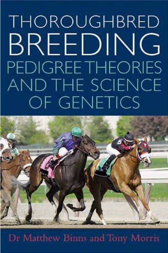 Thoroughbred breeding - thoroughbred,