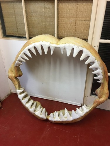 Full size great - great, shark