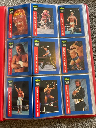 Wwf classic 1991 - 1991,
