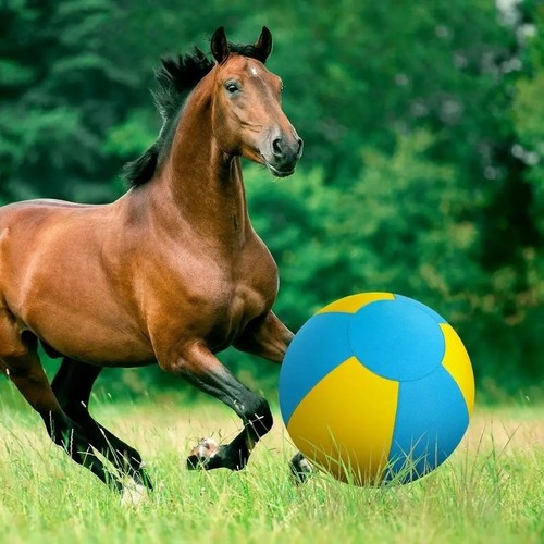Dog giant toy ball large - dog,