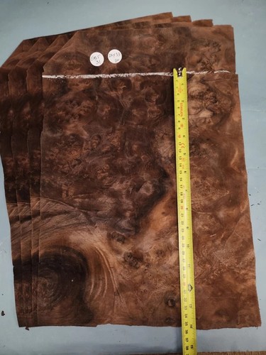 American walnut burr veneer - american,