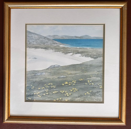 Jim nicholson iona - iona, beach