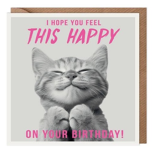 Funny birthday card cat - card, kitten