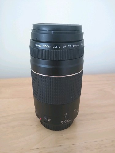 Canon 300mm 5 6 - canon, 75-300mm