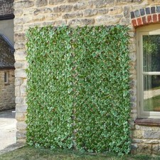 Artificial Ivy Leaf Expanding