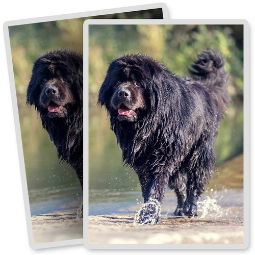 Vinyl stickers 7x10cm - x,