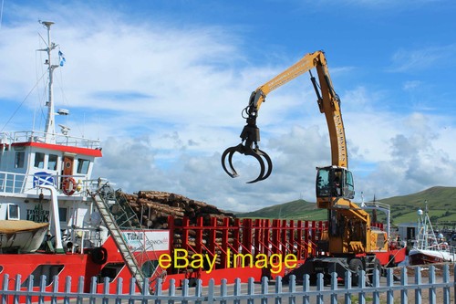 Photo 12x8 crane - photo,
