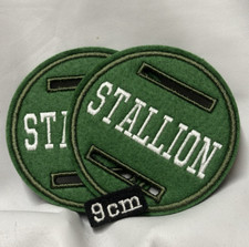 2 matching 9cm ‘CAPITAL FONT'  Stallion Bridle Discs  Badge Show  Green & White