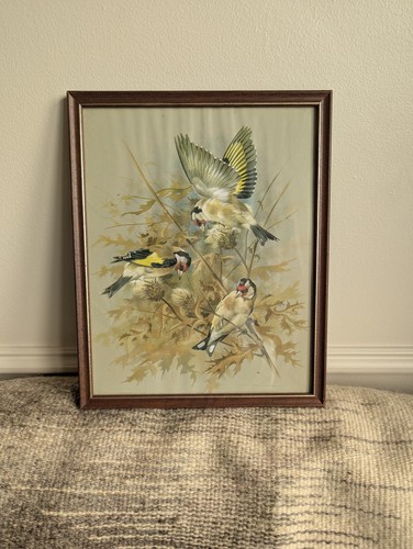 Basil ede vintage framed - , print