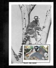 Antigua 1994 - Sierra Club