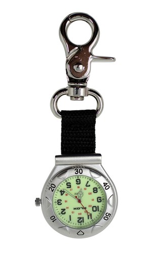 Silver clip carabiner fob - carabiner,