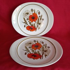 RETRO 1970s PAIR OF J&G MEAKIN 'POPPY' DESIGN STEAK/OVAL SHAPED PLATES