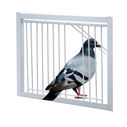 Single entrance pigeon loft - single,