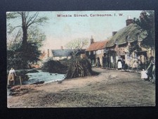 Isle of Wight CALBOURNE Winkle