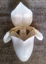 Antique 1880s Royal Worcester