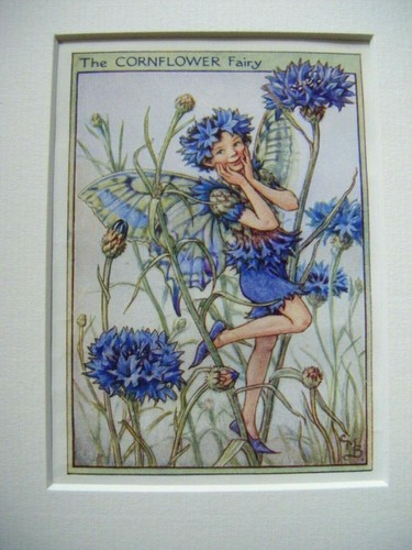 Vintage flower fairies print - vintage, &