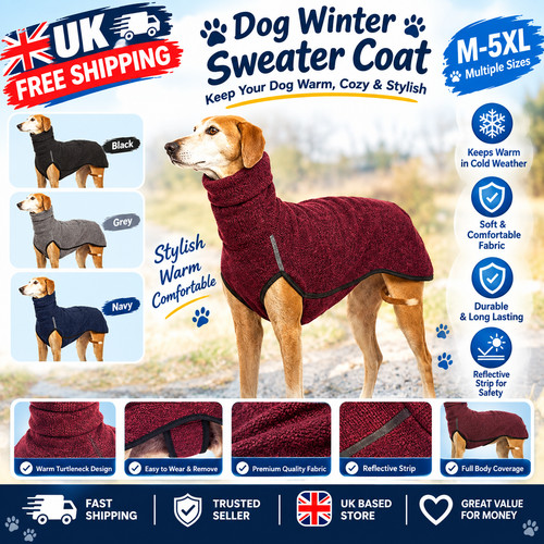 Pet dog winter high - pet, collar