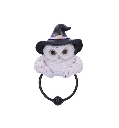 Nemesis now snowy - nemesis, owl