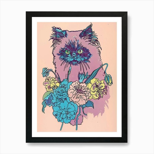Cute himalayan cat with - himalayan,