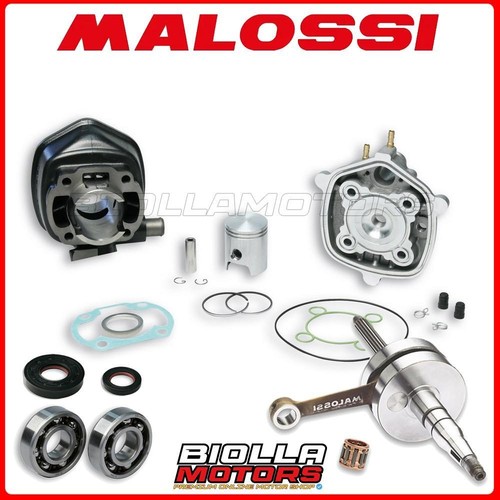Cylinder kit shaft malossi - cylinder,
