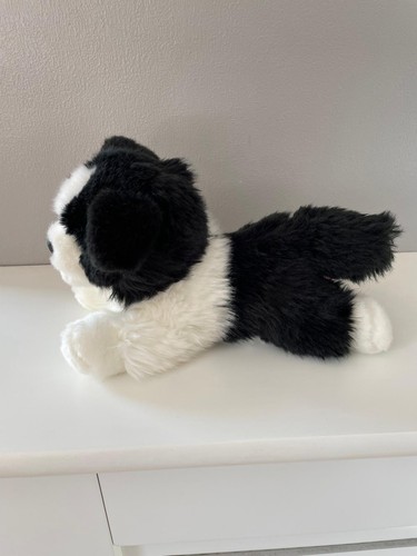 Aurora border collie sheepdog - collie,