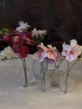 Peony Qvc Set Of 5 Oval