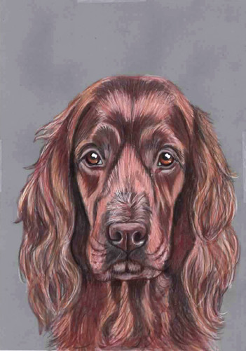 Original color pencil - , adorable