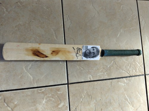 Ian botham signed - signed, bat