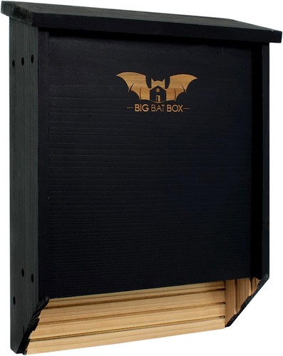 The complete bat - the,