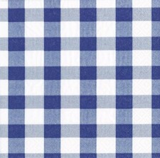 Blue Gingham Check Caspari