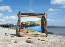 Driftwood photo