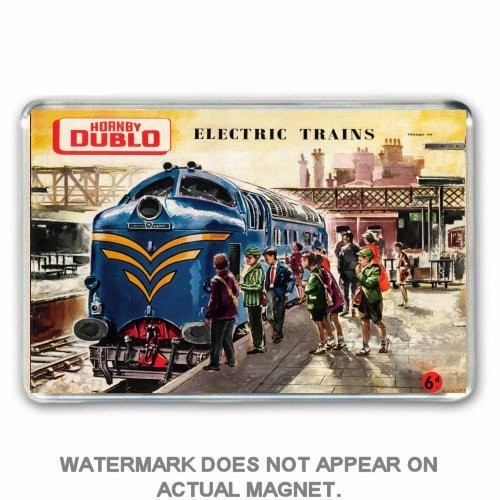 Retro hornby dublo - dublo, deltic