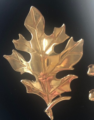 Leaf acorn 1 - 2,