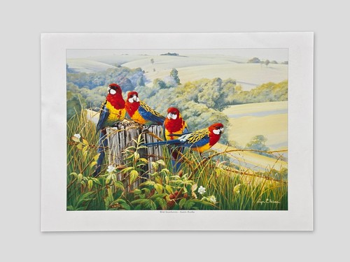 Lyn ellison wild - lyn, strawberries
